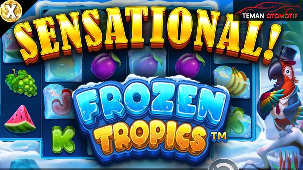 Wawancara Kuli Bangunan Jackpot Permainan Frozen Tropics