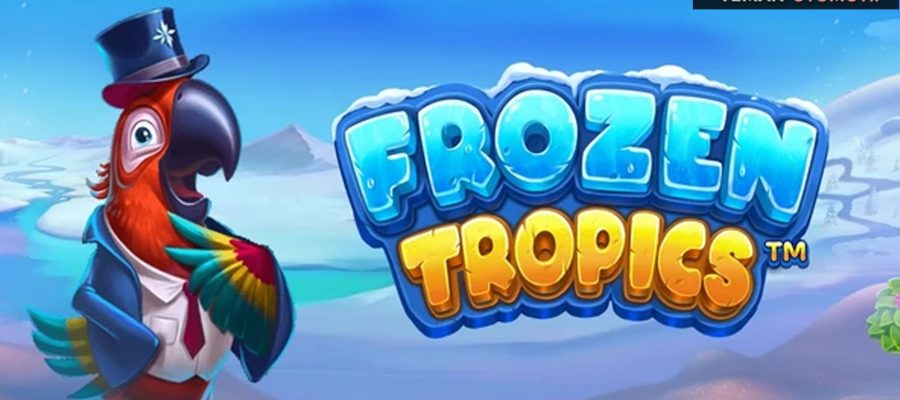 Wawancara Kuli Bangunan Jackpot Permainan Frozen Tropics