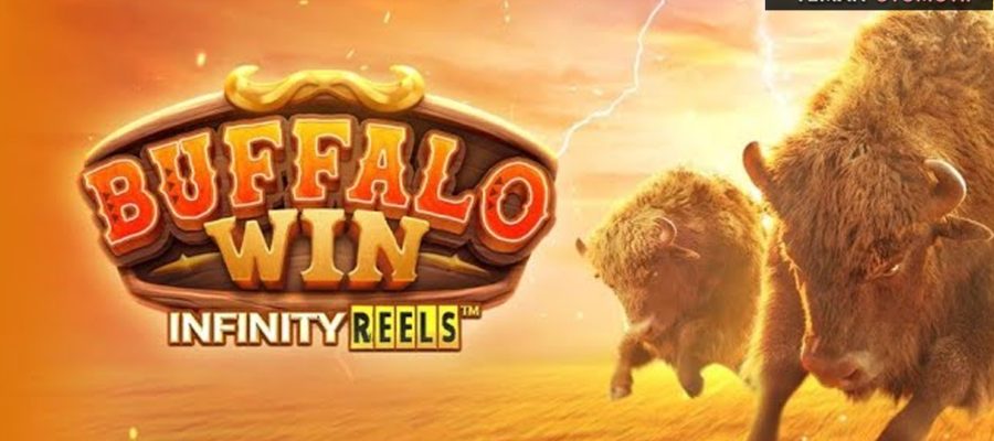 Buffalo Win Slot Binatang Yang Bisa Menghasilkan Uang Banyak