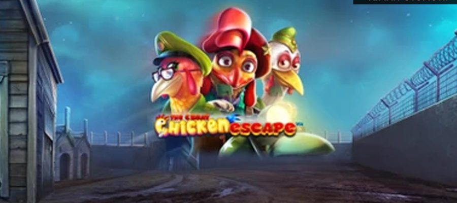 Misi Pelarian Ayam: Strategi Gacor di The Great Chicken Escape!