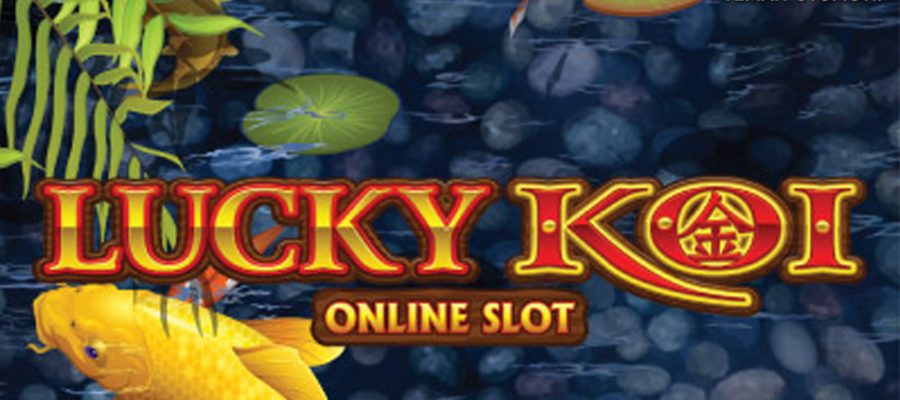 Lucky Koi: Cara Cerdas Bermain dengan Modal Kecil dan Untung!